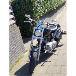 Sportster 1200 cc