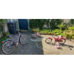 Fiets, merk giant