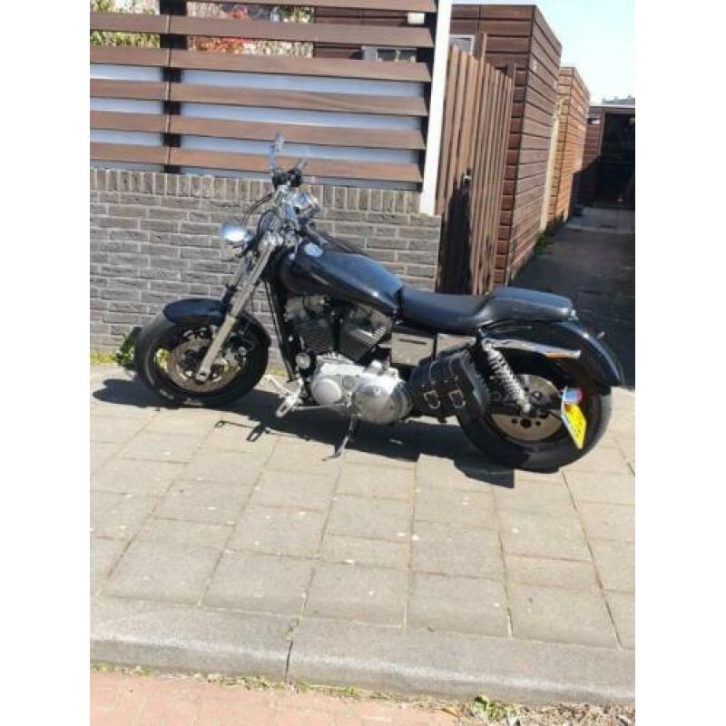 Sportster 1200 cc