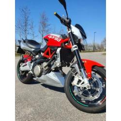 2011 Aprilia Shiver 750