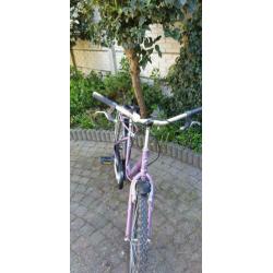 Fiets, merk giant