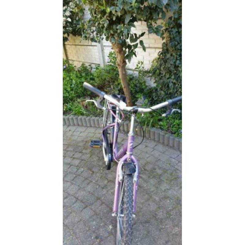 Fiets, merk giant