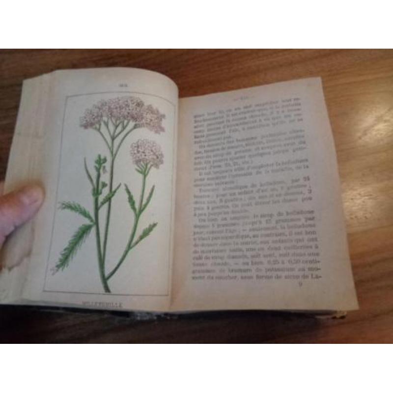 Uniek antiek Medisch plantenboek uit het jaar 1900 ..