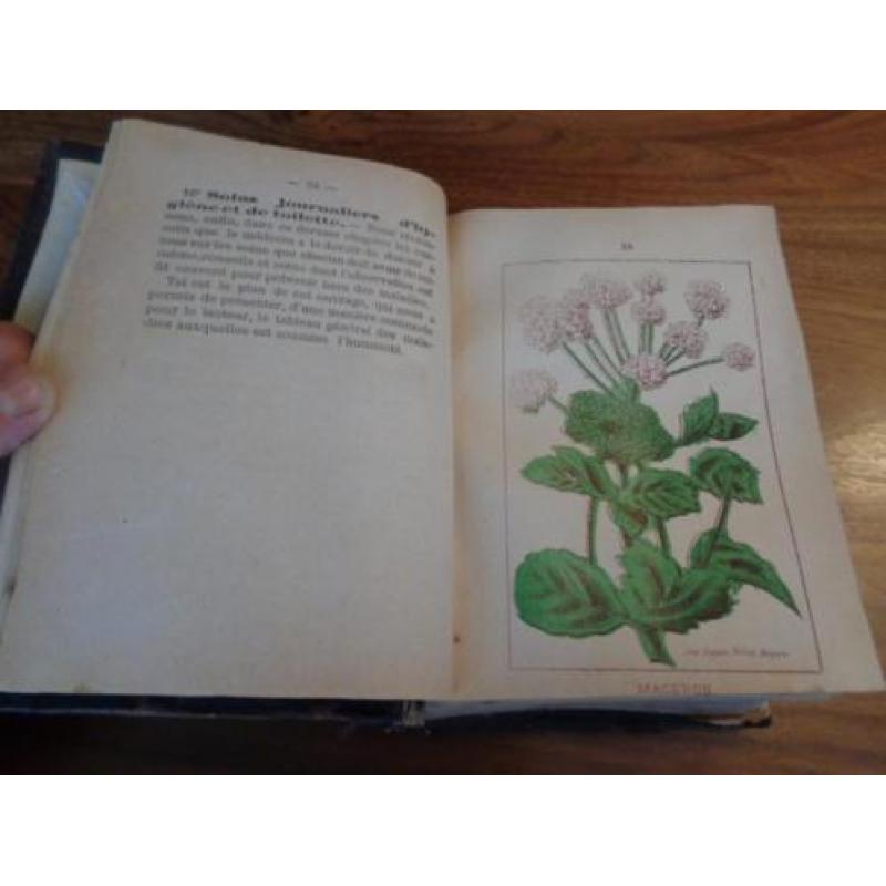 Uniek antiek Medisch plantenboek uit het jaar 1900 ..