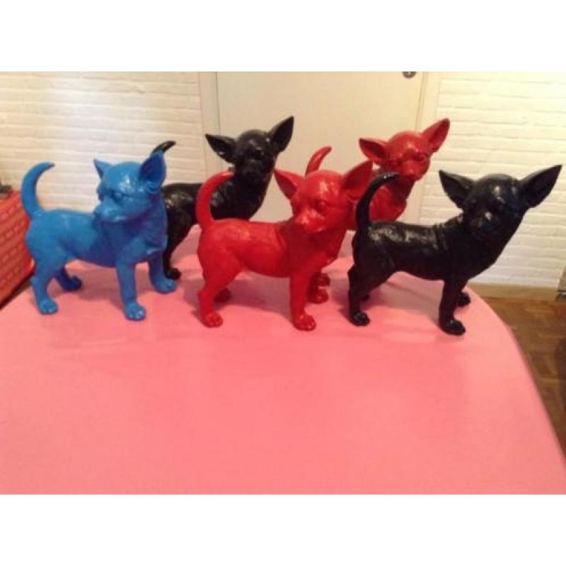 chihuahua, chiwawa,beeld diverse kleuren nu 16.75eu