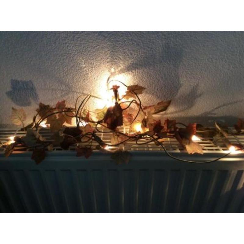 Lichtsnoer met blaadjes