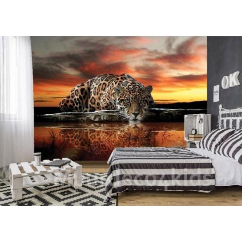 Jungle fotobehang Jaguar, jungledieren behang *Muurdeco4kids