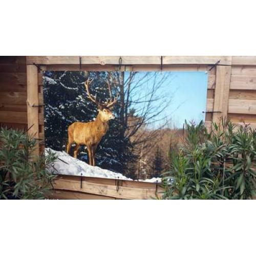 Buitenposter 80x120 cm