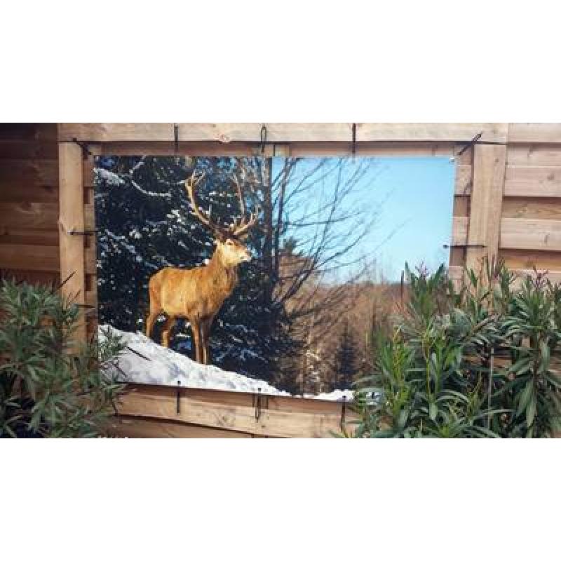 Buitenposter 80x120 cm
