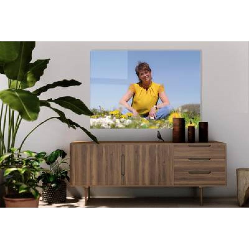 Foto op plexiglas 130x240 cm